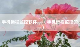 手机远程监控软件app（手机远程监控的app）