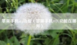 苹果手机otg功能（苹果手机OTG功能在哪开）