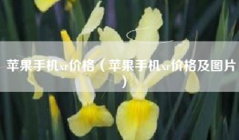 苹果手机xr价格（苹果手机xr价格及图片）