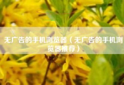 无广告的手机浏览器（无广告的手机浏览器推荐）