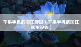 苹果手机截图在哪里（苹果手机截图在哪里设置）