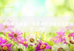 手机录音设备（手机录音设备无法使用怎么办）