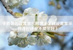 手机怎么设置显示网速（手机设置显示网速好还是不显示好）