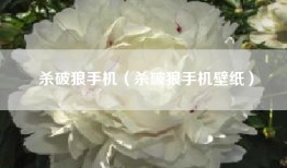 杀破狼手机（杀破狼手机壁纸）