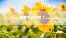 Accessibility黑莓手机官网「Accessibility」