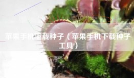 苹果手机下载种子（苹果手机下载种子工具）