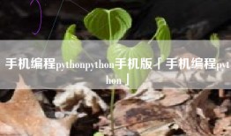 手机编程pythonpython手机版「手机编程python」