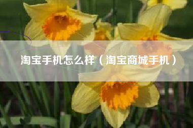 淘宝手机怎么样（淘宝商城手机）