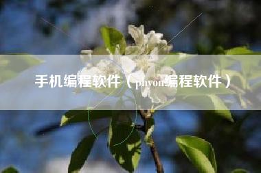 手机编程软件（phyon编程软件）