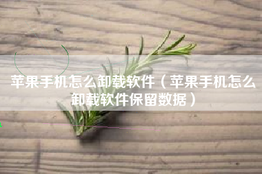 苹果手机怎么卸载软件（苹果手机怎么卸载软件保留数据）