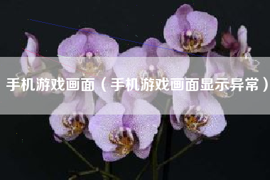 手机游戏画面（手机游戏画面显示异常）