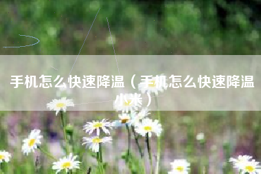 手机怎么快速降温(手机怎么快速降温小米) 手机怎么快速降温(手机怎么快速降温小米)