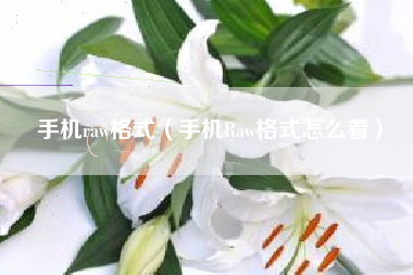 手机raw格式（手机Raw格式怎么看）