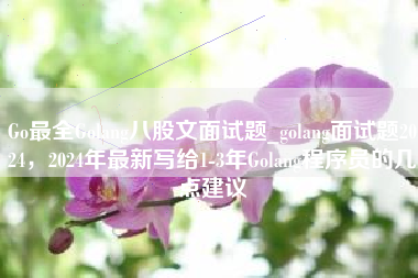 Go最全Golang八股文面试题_golang面试题2024，2024年最新写给1-3年Golang程序员的几点建议