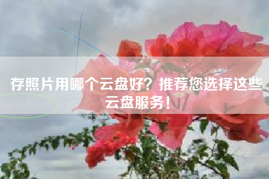 存照片用哪个云盘好？推荐您选择这些云盘服务！
