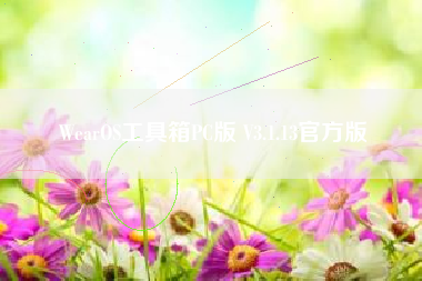 WearOS工具箱PC版 V3.1.13官方版